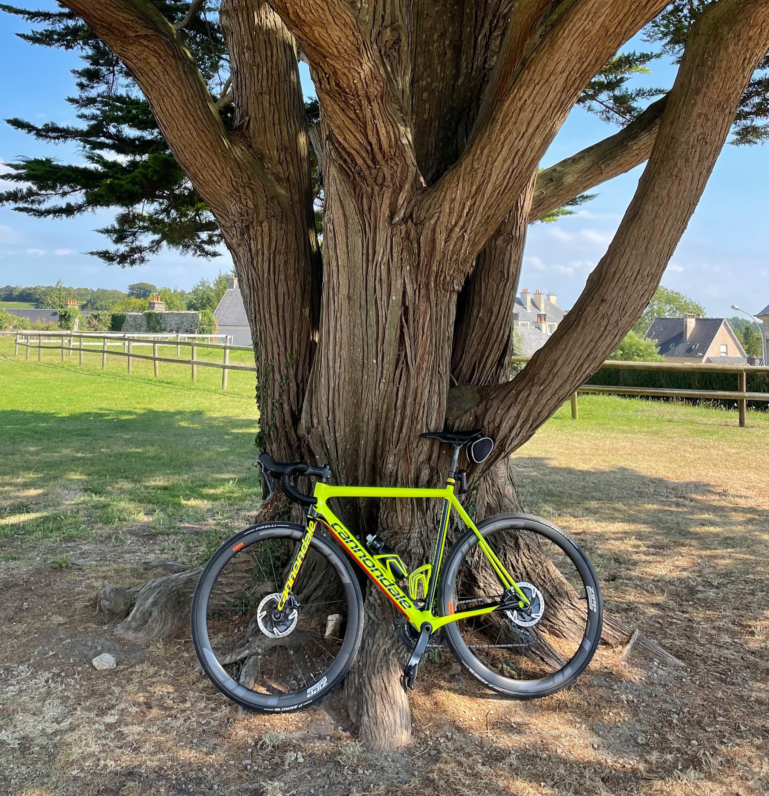 David Sabin Bruno Trigo